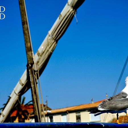 Le Soleil Couchant Studio Vue Mer ル・グロー・デュ・ロワ エクステリア 写真